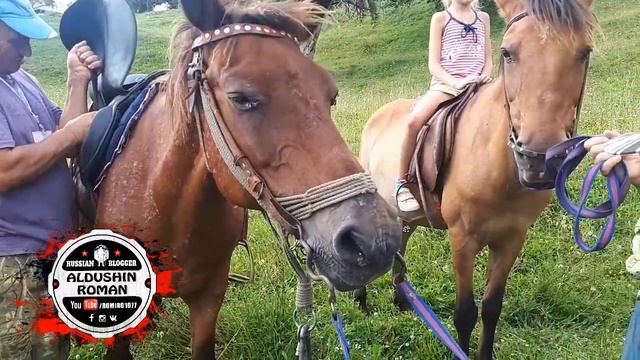 Конные прогулки Колашин Черногория смотреть онлайн