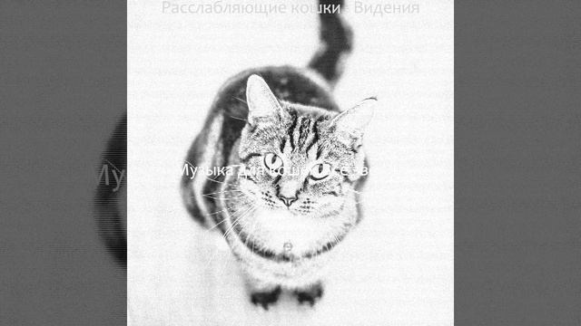 Музыка (Кошки) смотреть онлайн