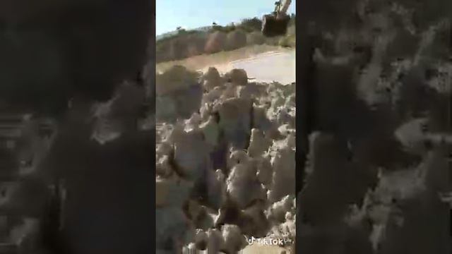 история о том как не надо делать смотреть онлайн