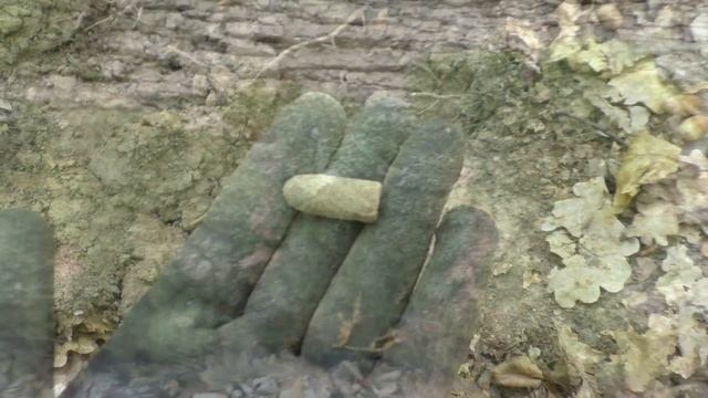 ВОЗЛЕ ГЛУБОКОГО ОВРАГА В КАРПАТАХ НАШЕЛ СТАРОЕ СЕРЕБРО!!! смотреть онлайн