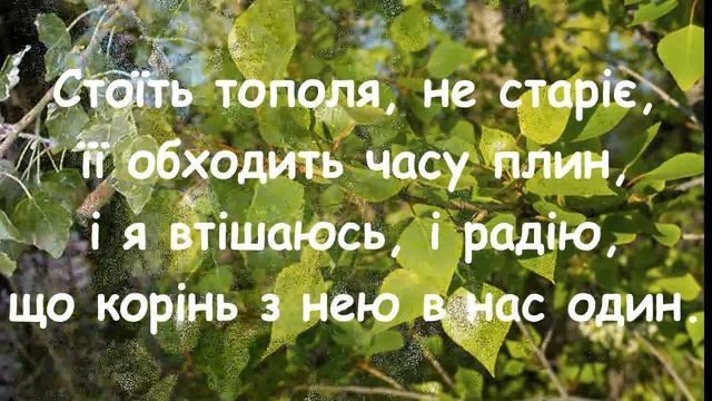 "Стоїть тополя" А. Осадчого мінус зі словами смотреть онлайн