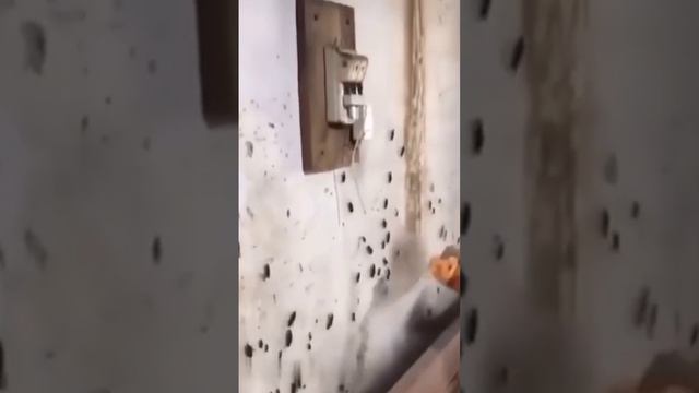 Это я жуков травил в хате