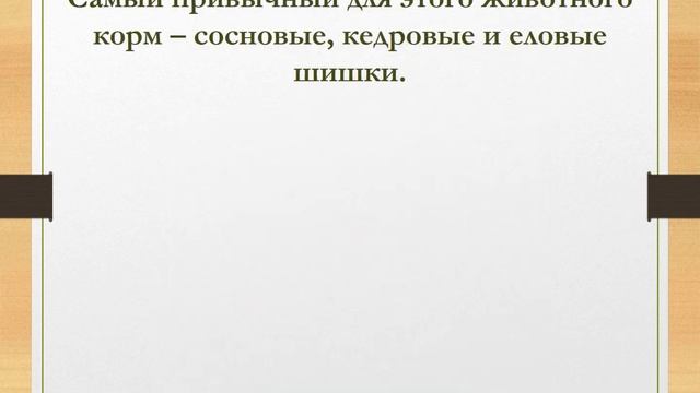 Литературная презентация-викторина Георгий Граубин