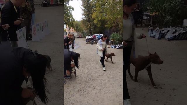 9 сентября 2023 г. смотреть онлайн