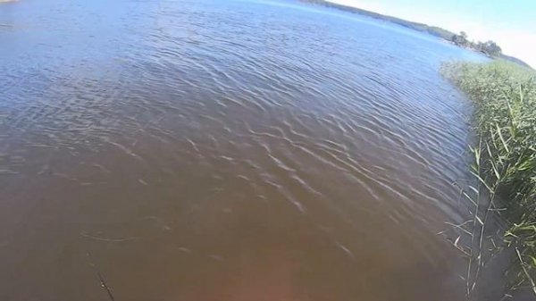 Lucky Craft Flash Pointer 115 MR Ловим щуку на воблеры