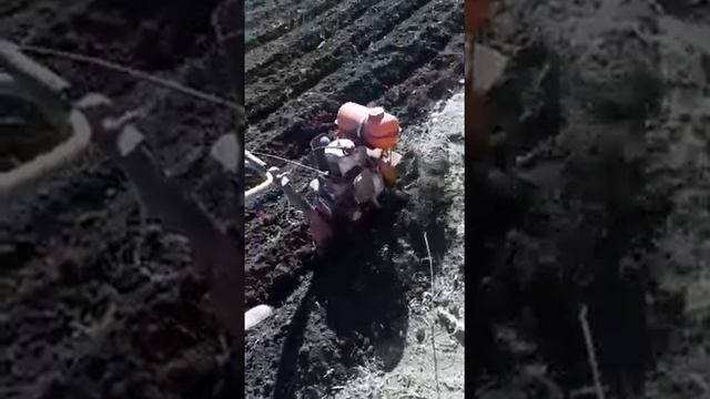 Мотокультиватор Гном смотреть онлайн