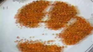 Апитерапия - на пасеке Татьяны Чухрай.