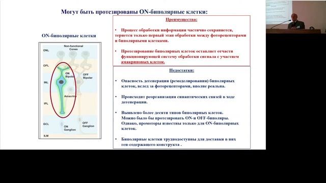 Михаил Островский "Оптогенетическое протезирование сетчатки: современное состояние" смотреть онлайн