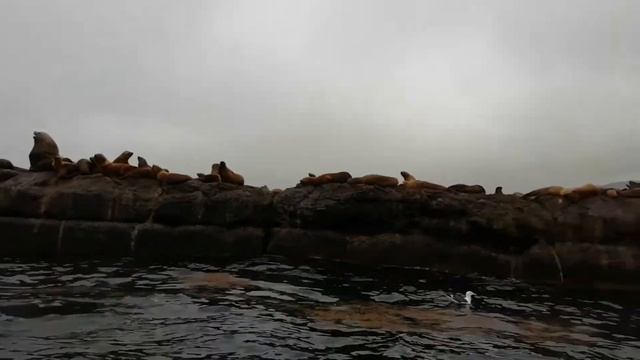 Отпуск на Сахалине. План. Достопримечательности. 2021 (Часть I) смотреть онлайн