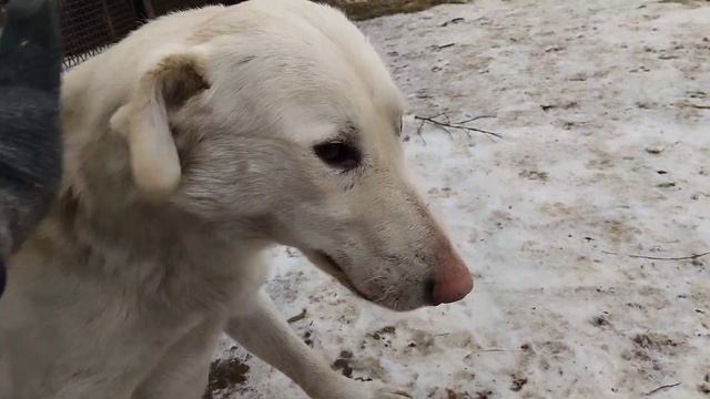 хатики(72( закрыв глаза смотреть онлайн