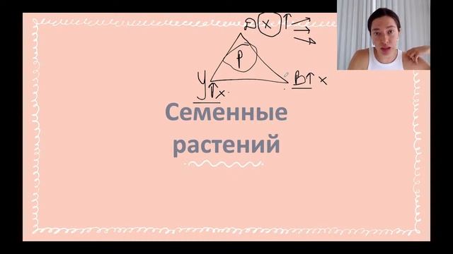 Споровые растения, циклы растений для ЕГЭ 2023 по биологии | Lomonosov School смотреть онлайн