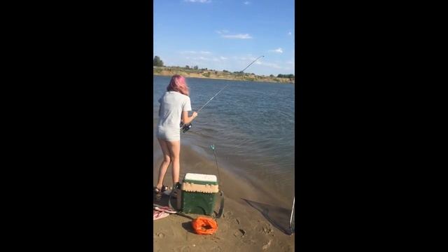 МОИ перепела на рыбалке. Нижняя Волга, август 2019 смотреть онлайн