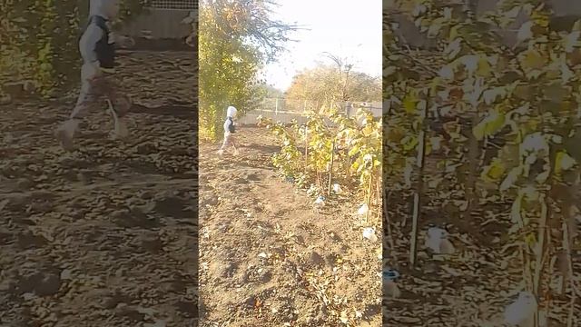 последние доделки огородные смотреть онлайн