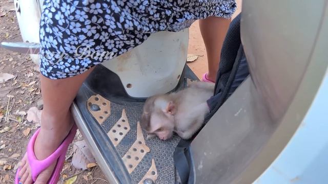 New abandoned girl cry a lot and roll on the ground when KT drop her. poor bb don't want mom go hom смотреть онлайн