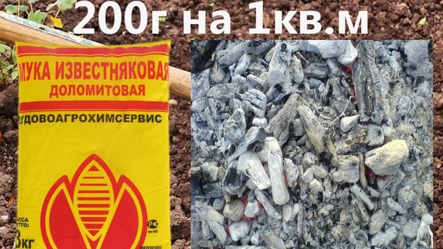 ПОСАДИТЕ КЛУБНИКУ ПРАВИЛЬНО!/ Осенняя посадка клубники (земляники)/ Planting strawberries смотреть онлайн