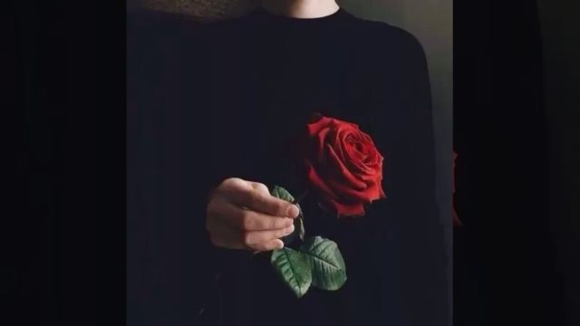 Я подарю тебе Розу смотреть онлайн