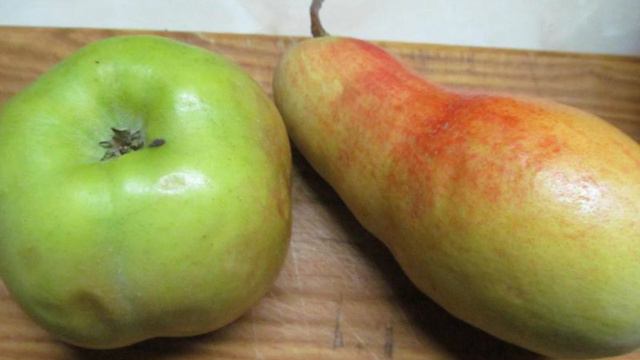 Готовим дома