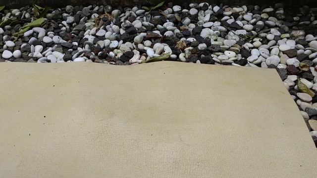 Chakra Yoga Mat Cleaner clean all dirt perfectly On rubber surface смотреть онлайн