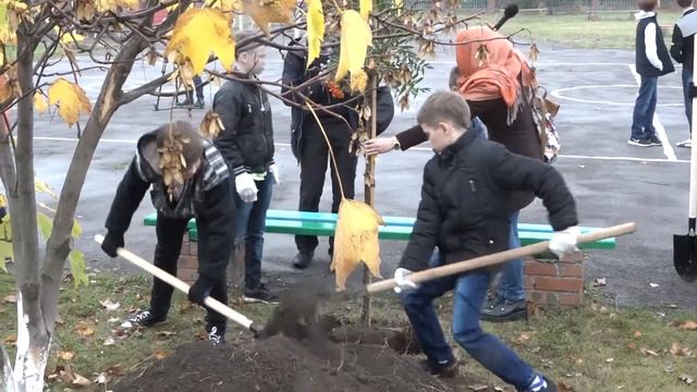 Более 12 тысяч деревьев высадили в южной столице смотреть онлайн