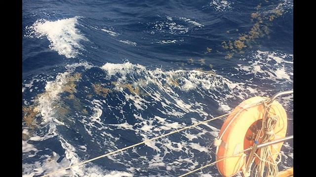 Я В ВЕСЕННЕМ ЛЕСУ COVER смотреть онлайн