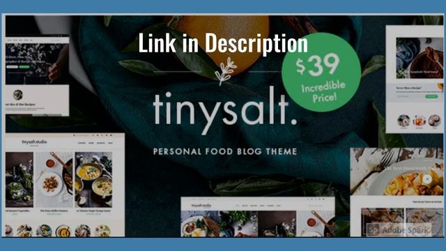 TinySalt - Personal Food Blog WordPress Theme смотреть онлайн