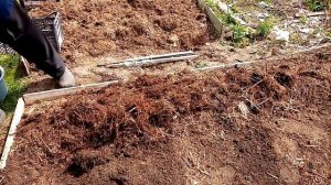 1.Как сделать землю плодородной  и мягкой. 2. Больше не окучиваем и не пропалываем картофель .