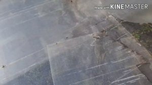 Установка  теплицы из поликарбоната.Как установить теплицу 3 на 6 метров чтобы она не улетела.