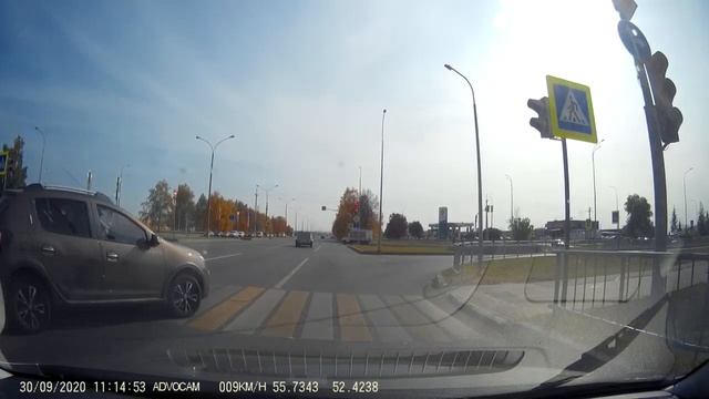 Баран на светофоре.mp4