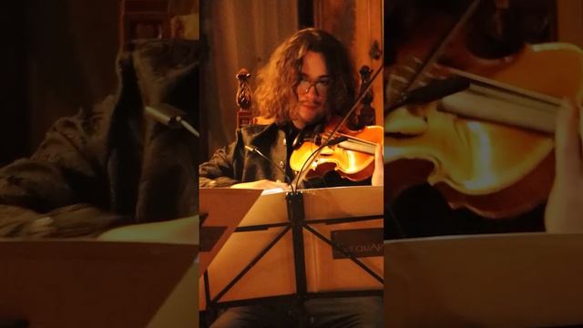 Carnevale Gotico A Palazzo Facchi