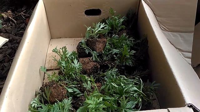 Казахи в Корее 2018 смотреть онлайн