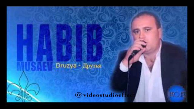 Habib Musaev,Хабиб Мусаев, Свадебные композиции, Часть 1,Группа