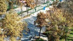 Парк Горького «Канатная дорога»