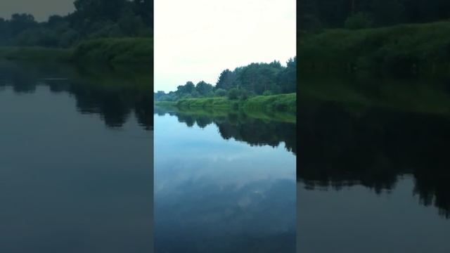 Река Молога, Тверская область, Максатихинский район. смотреть онлайн