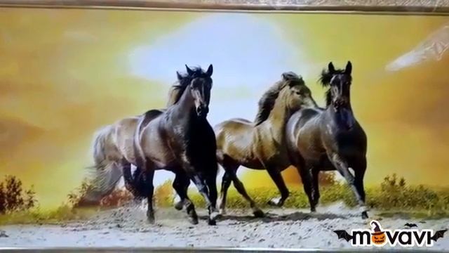 Лучшее украшение для интерьера! Картины в двойной раме в г.Краснодар смотреть онлайн