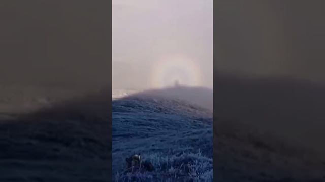 ангел смотреть онлайн