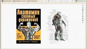 Обзор программы IceCream Ebook Reader