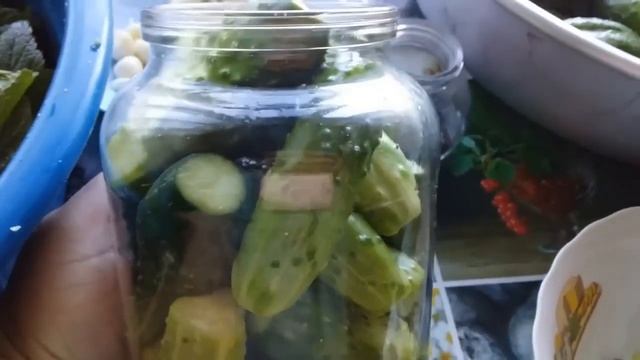 СОЛЕНЫЕ ОГУРЦЫ ХРУСТЯЩИЕ смотреть онлайн