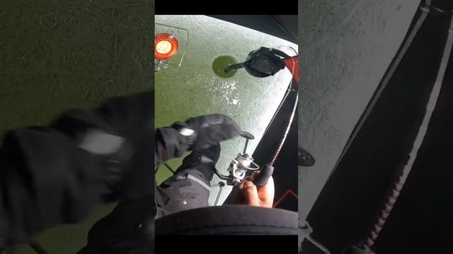 Video game ice fishing ??#icefishing смотреть онлайн