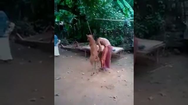 О Аллах без тебя мы не можем жить смотреть онлайн