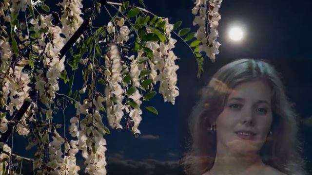 Белой акации гроздья смотреть онлайн