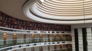 ДЕЛЬФИН ИМПЕРИАЛ 2022 ЧАСТЬ   1