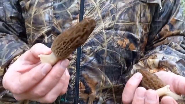 Один из самых первых смотреть онлайн