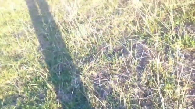 как правильно заводить, мотоцикл днепр мт11 часть 2 смотреть онлайн
