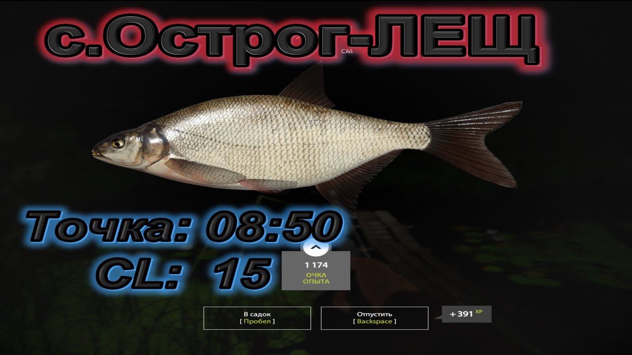 Русская Рыбалка 4-Старый Острог-Лещ смотреть онлайн