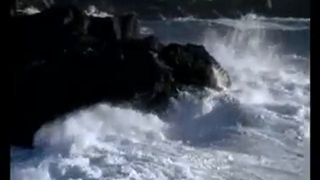 Sounds of The Ocean смотреть онлайн