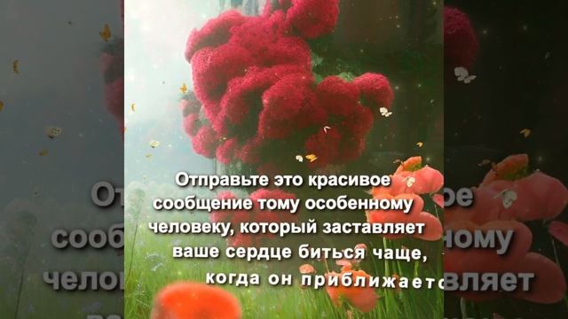 Доброе утро | Каждый день — это новая возможность | красивое сообщение смотреть онлайн