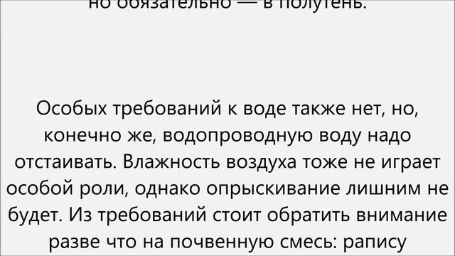 Рапис уход смотреть онлайн