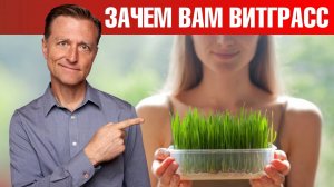 Сок витграсса в порошке: все циклы производства🔥