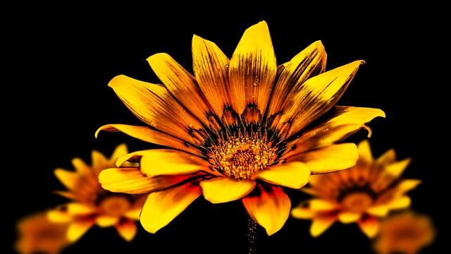 Чтение мыслей и энергетическое общение. Human Design. Доступ к осознанности смотреть онлайн