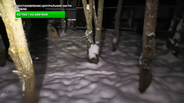 кормим 10 голодных #хаски и пойдём гулять по сугробам смотреть онлайн